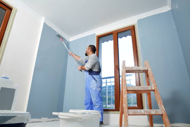 Mold Odor Removal Services in Terra Alta, WV