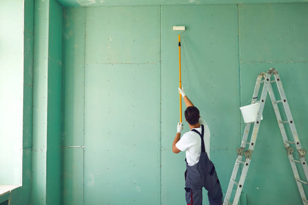 Best Mold Removal for HVAC Installations  in Terra Alta, WV