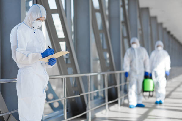 Professional Mold Removal in Terra Alta, WV