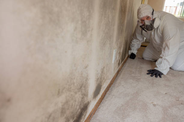 Best Comprehensive Air Testing for Mold Contaminants  in Terra Alta, WV