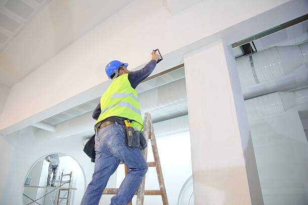 Best Black Mold Removal  in Terra Alta, WV